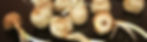 fond-section-bulbes.jpg