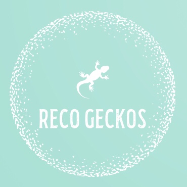 Writer: Reco Geckos