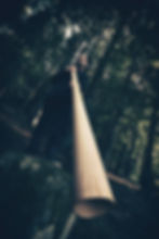 Maple Slide