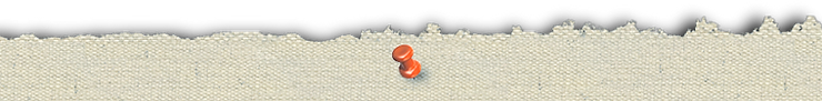 cloth_top_pale_edited_edited.png