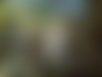 瑞牆、小川山遠征