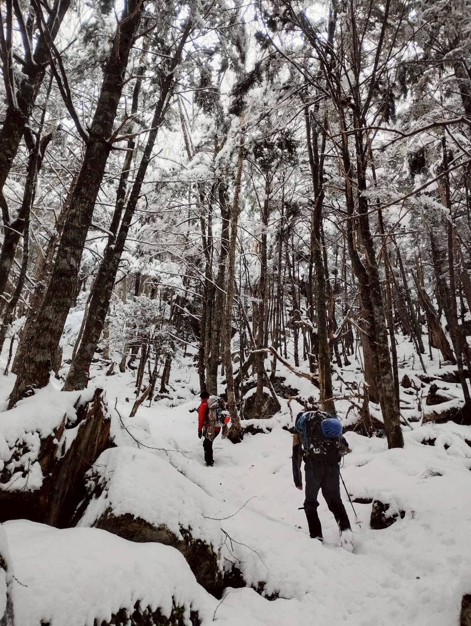 「積雪で歩きにくい登山道」