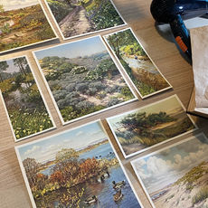 Several watercolour illustrations arranged on a wooden desk