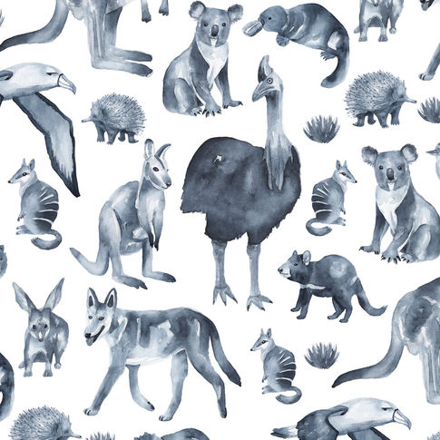 australia pattern_square.jpg