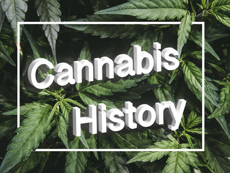 History of Cannabis