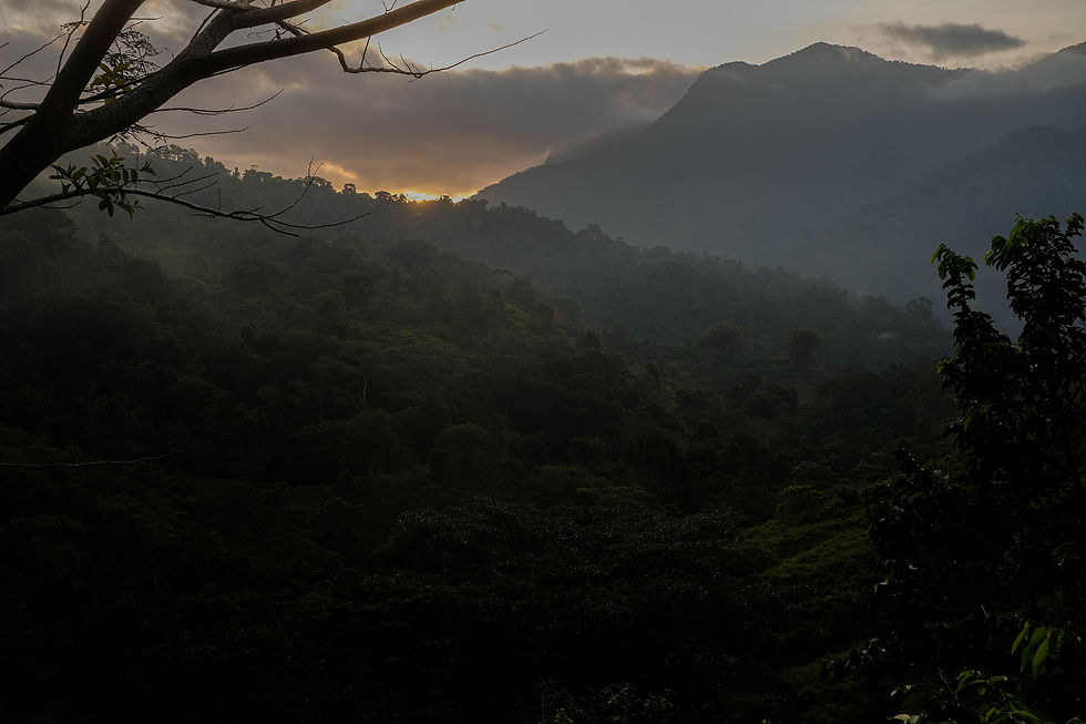 Terapia en La Sierra Nevada de Santa Marta, Colombia.