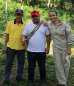 Apicultura colombiana