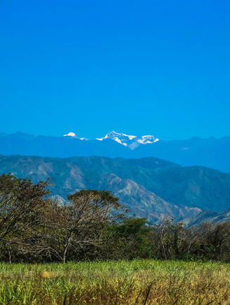 ¿Empezaste el 2026 con el pie derecho? La miel puede ser tu aliada más simple (y poderosa) este año
