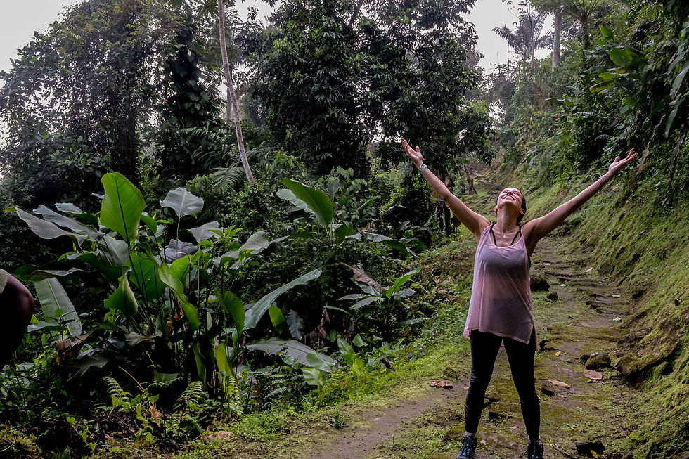 Terapia en La Sierra Nevada de Santa Marta, Colombia.