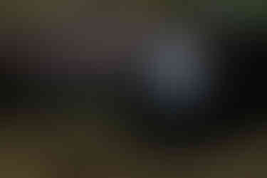 Terapia en La Sierra Nevada de Santa Marta, Colombia.