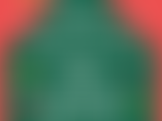 Christmas Tree Lighting Ceremony!