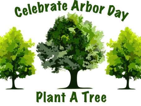 Celebrating Arbor Day