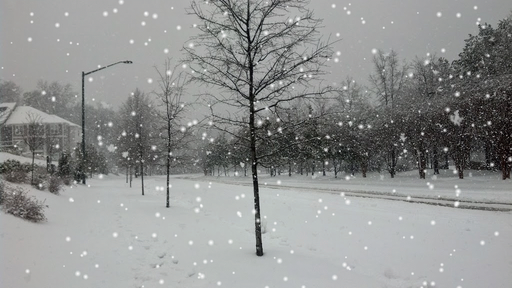 95e82d311a9c58d3f5e758c1d472f994.gif