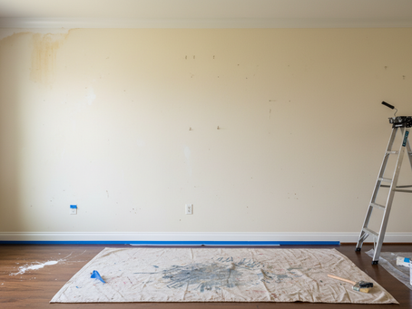 Elevate Your Home with Expert House Painting: Professional House Painting Benefits