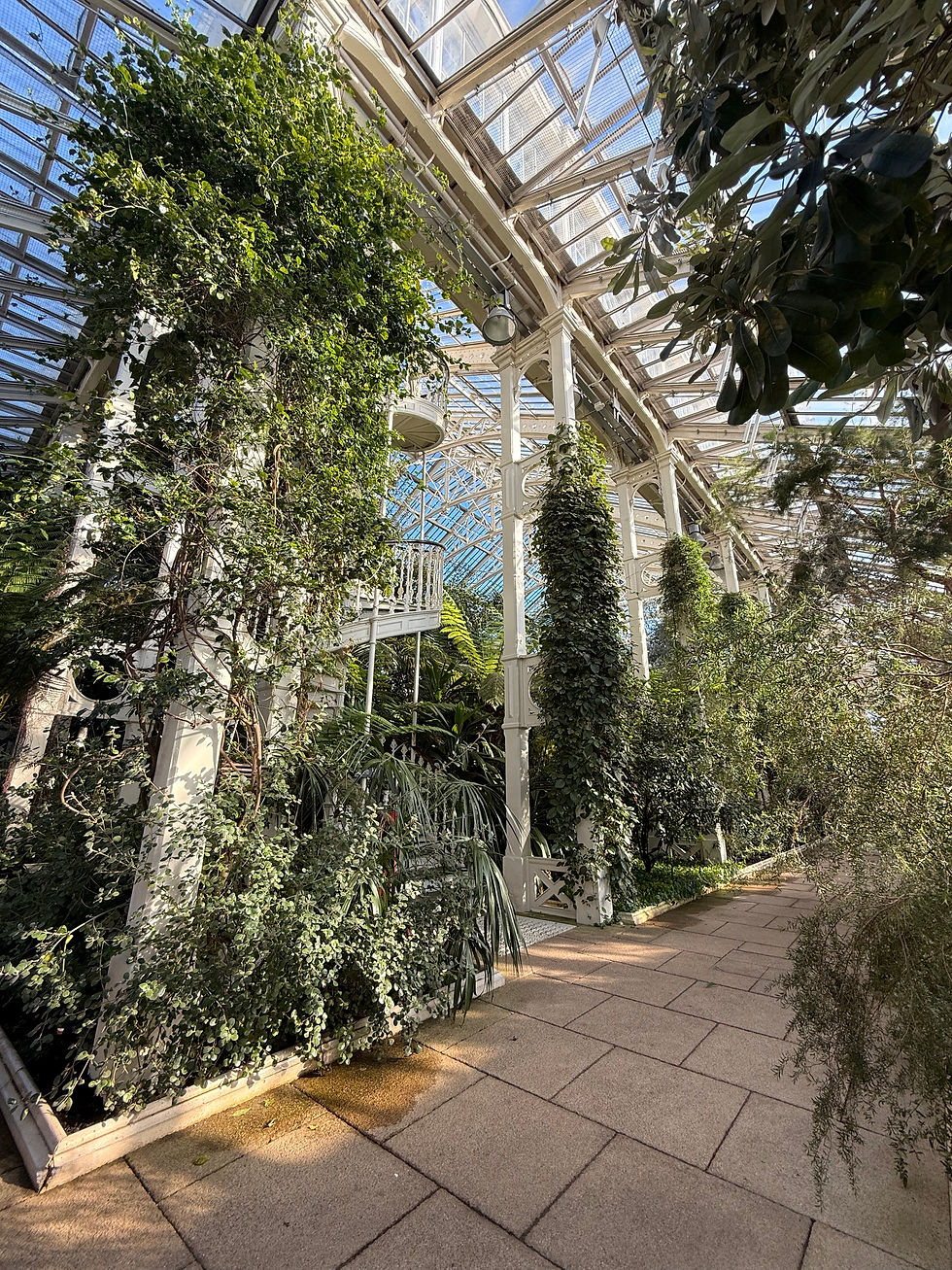 Pictured above: Lower Floor of The Temperate Glasshouse.