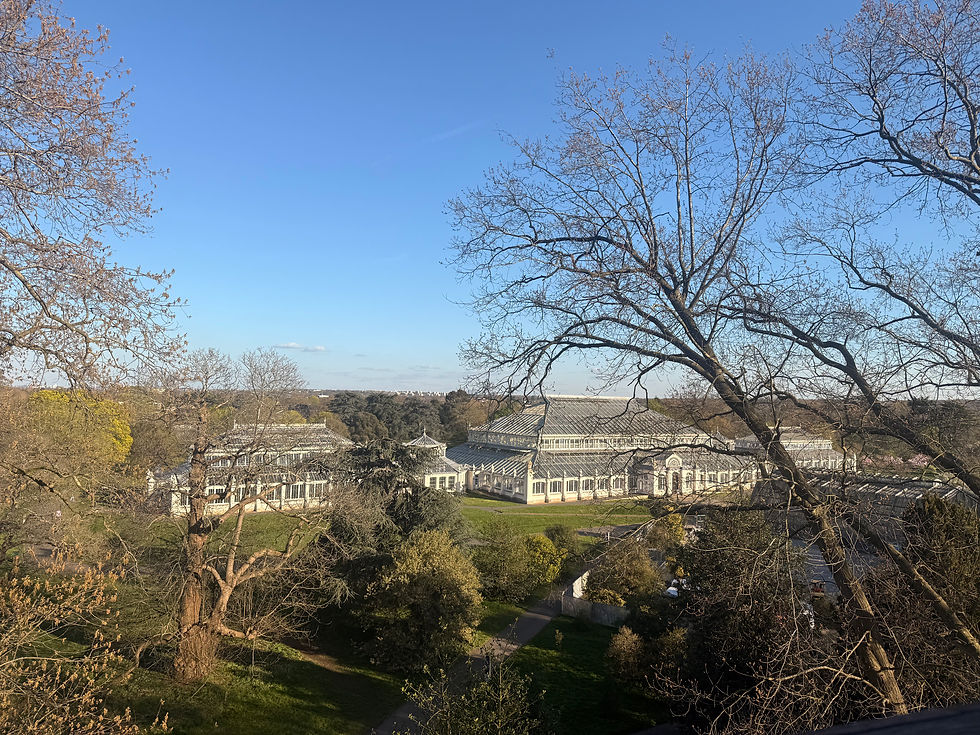 Pictured above: Treetop View of Kew Gardens, London.