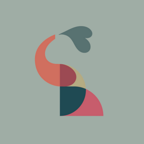 Trumpeting Color