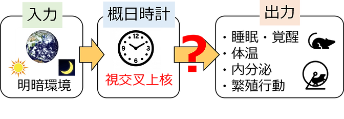 図1.png