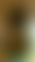 Lee Hee Eun Nipple Bikini See Through