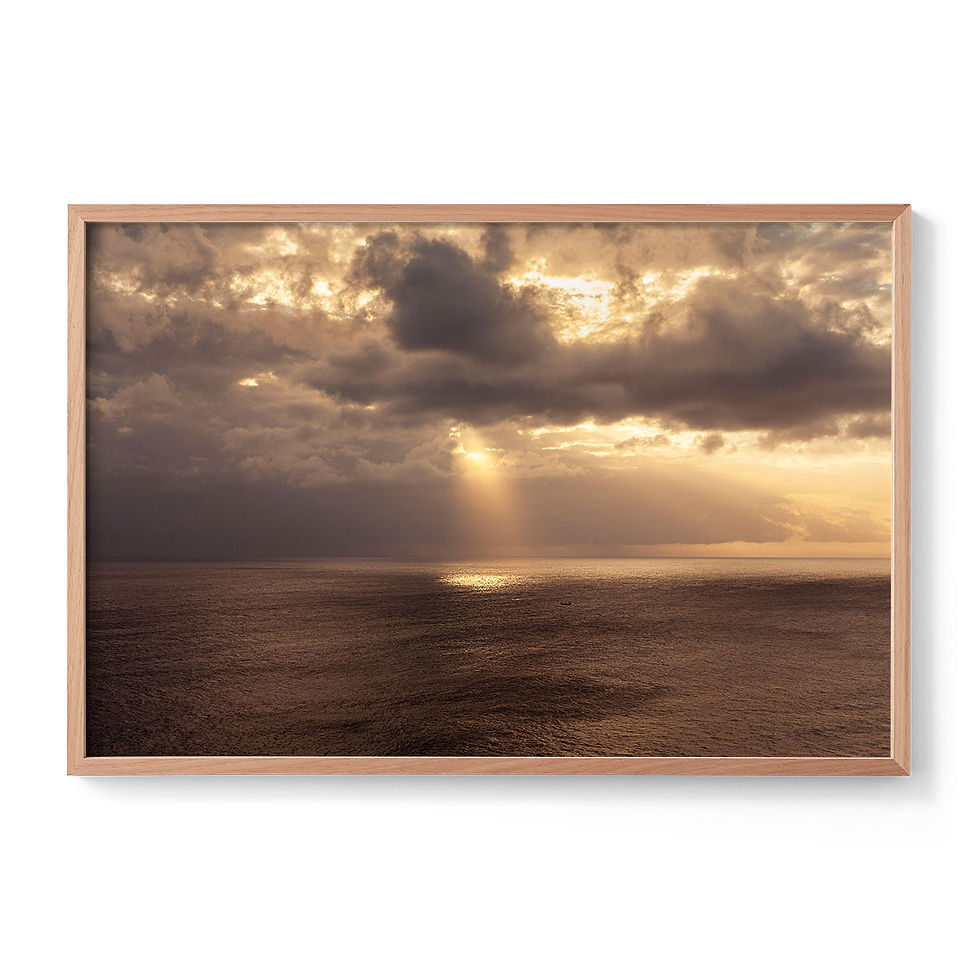 Thumbnail: In Search Of Light