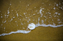 Ensaio_Alexandra e Fernando0362.JPG