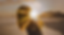 Body Mind Soul Wellness Brand-2.png