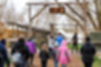 School groups at rendezvous