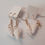 Thumbnail: Shell Earrings 