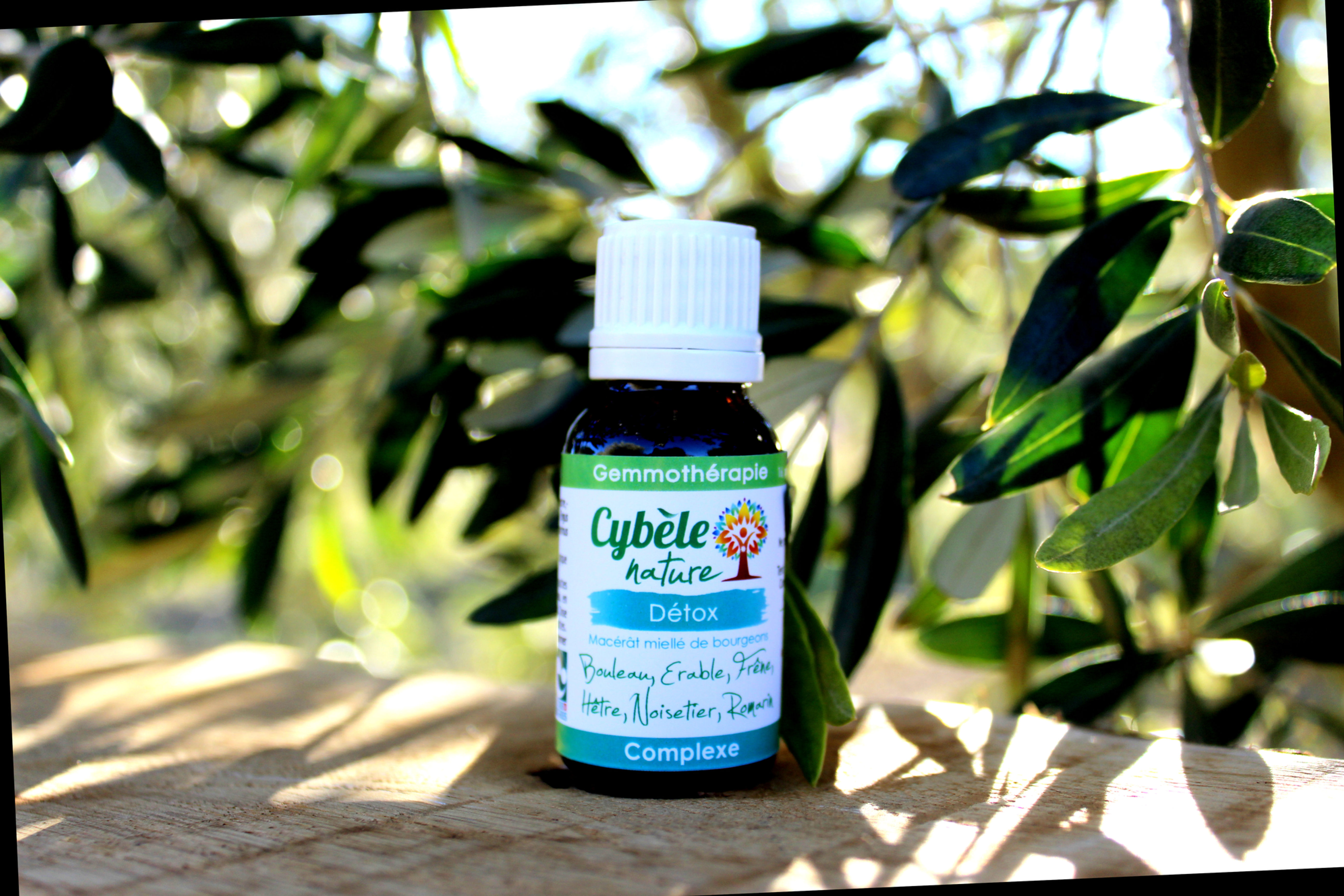 Détox - Gemmothérapie