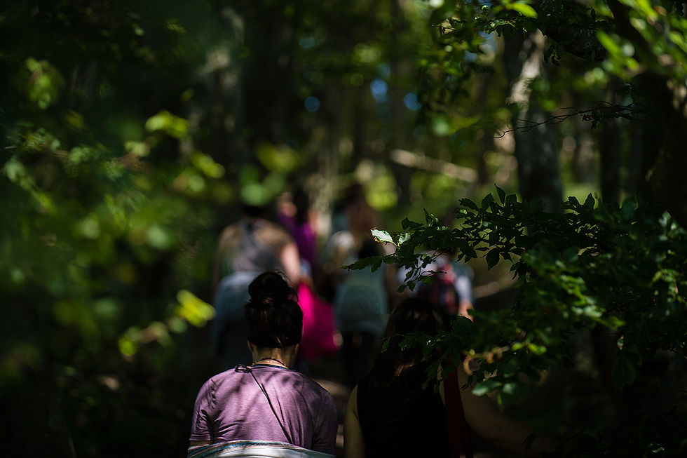 Sensual Nature Walks