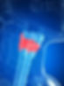 images (2).jpeg