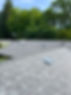 IMG_9600.jpeg