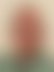 שדרוג מערכת היחסים של הארגון עם ספקיו כדי להשיג תוצאות טובות יותר לארגון (3)