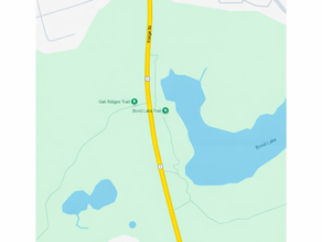Map showing a yellow road labeled Yonge St. with trails, a blue lake, and surrounding green parks. Visible streets include Silver Maple Rd.