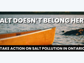 Motion - Councillor Davidson - Support for Provincial Action on Salt Pollution from Road Salt