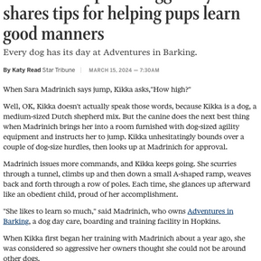 StarTribune Article