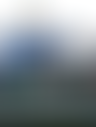 Paro universitario: Milei lo hizo