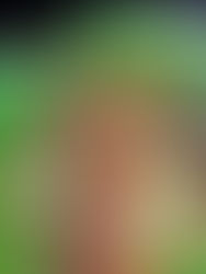 El de la Rosada es de temer, por eso regresa el Gran Corso Familiar de San Fernando