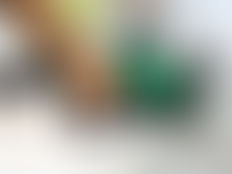 La diputada Rasquetti contra los lobbistas petroleros y de estaciones de servicios