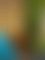 Interna en el PJ Tigre: la justicia define por los afiliados