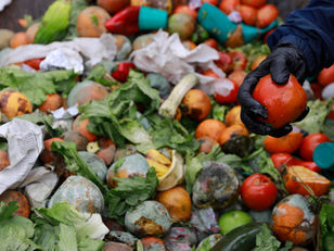 Pérdida y desperdicio de alimentos: cada persona tira, en promedio, 38 kilos de comida apta para el consumo durante todo el año