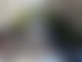 El intendente Moreira en Plaza de Mayo: “esta Ley es contra el empleo y la industria nacional”