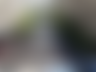 El intendente Moreira en Plaza de Mayo: “esta Ley es contra el empleo y la industria nacional”