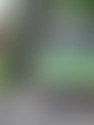 Servicios municipales durante el feriado