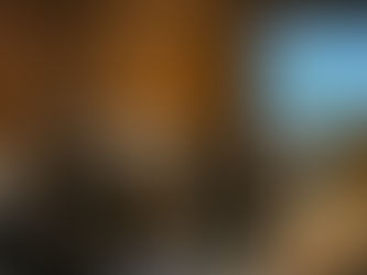 S.O.S de Girard: “Milei nos lleva a una hiper-regresividad tributaria”