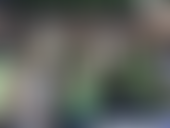 Otra denuncia penal contra el presidente Milei