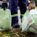 Sin servicio de recolección de basura