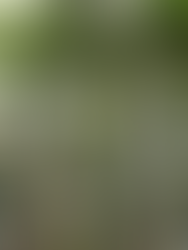 Las víctimas de Cromañón presentes en Vicente López