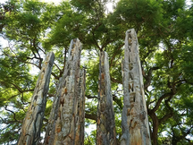 Las víctimas de Cromañón presentes en Vicente López
