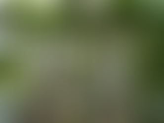 Las víctimas de Cromañón presentes en Vicente López